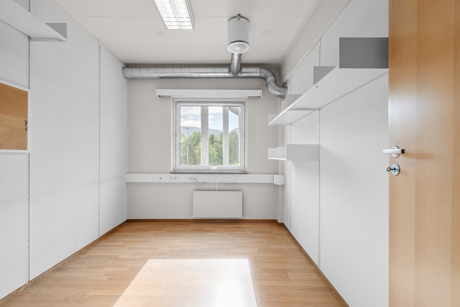 Fin størrelse Galleribilde