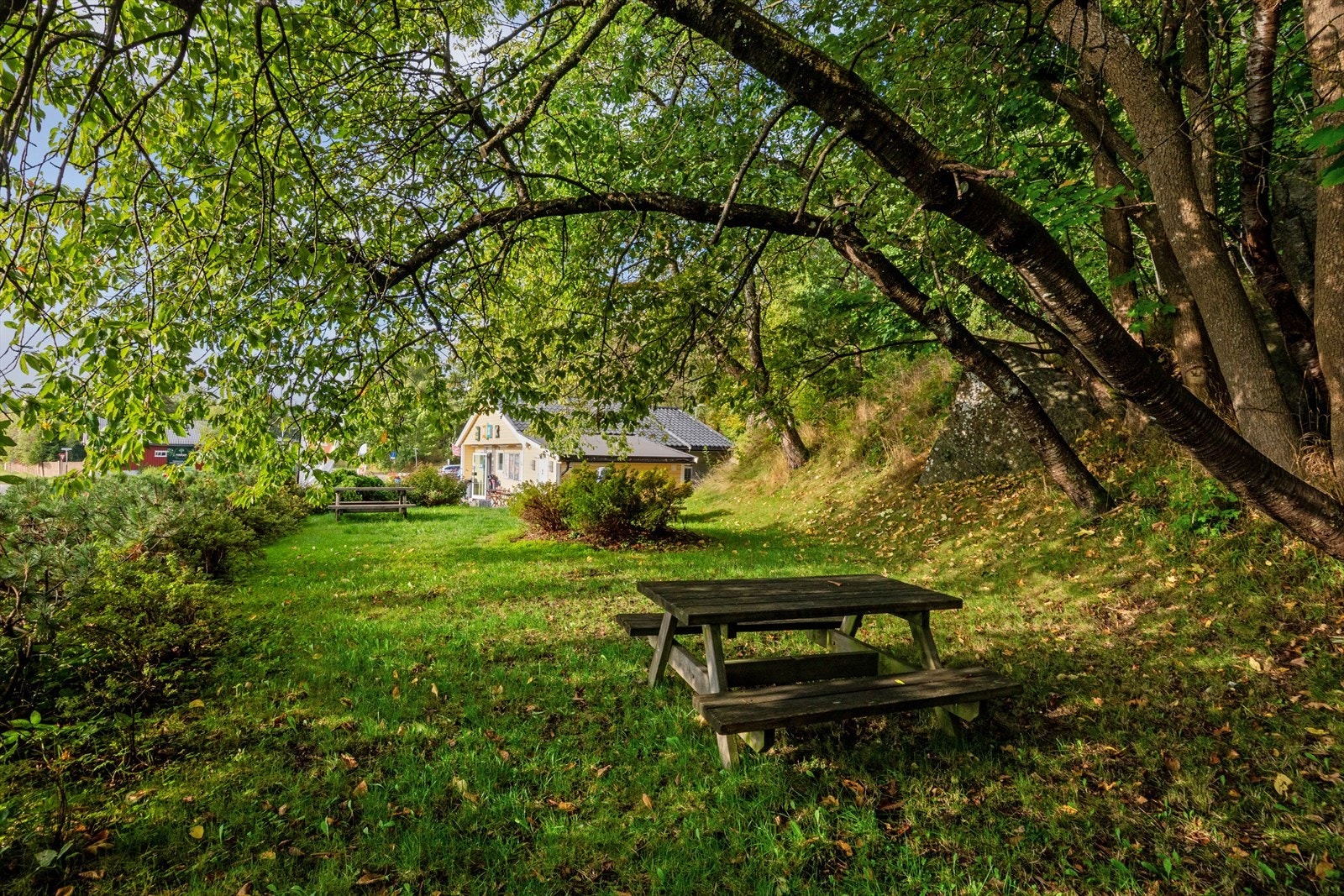 013.jpg Galleribilde