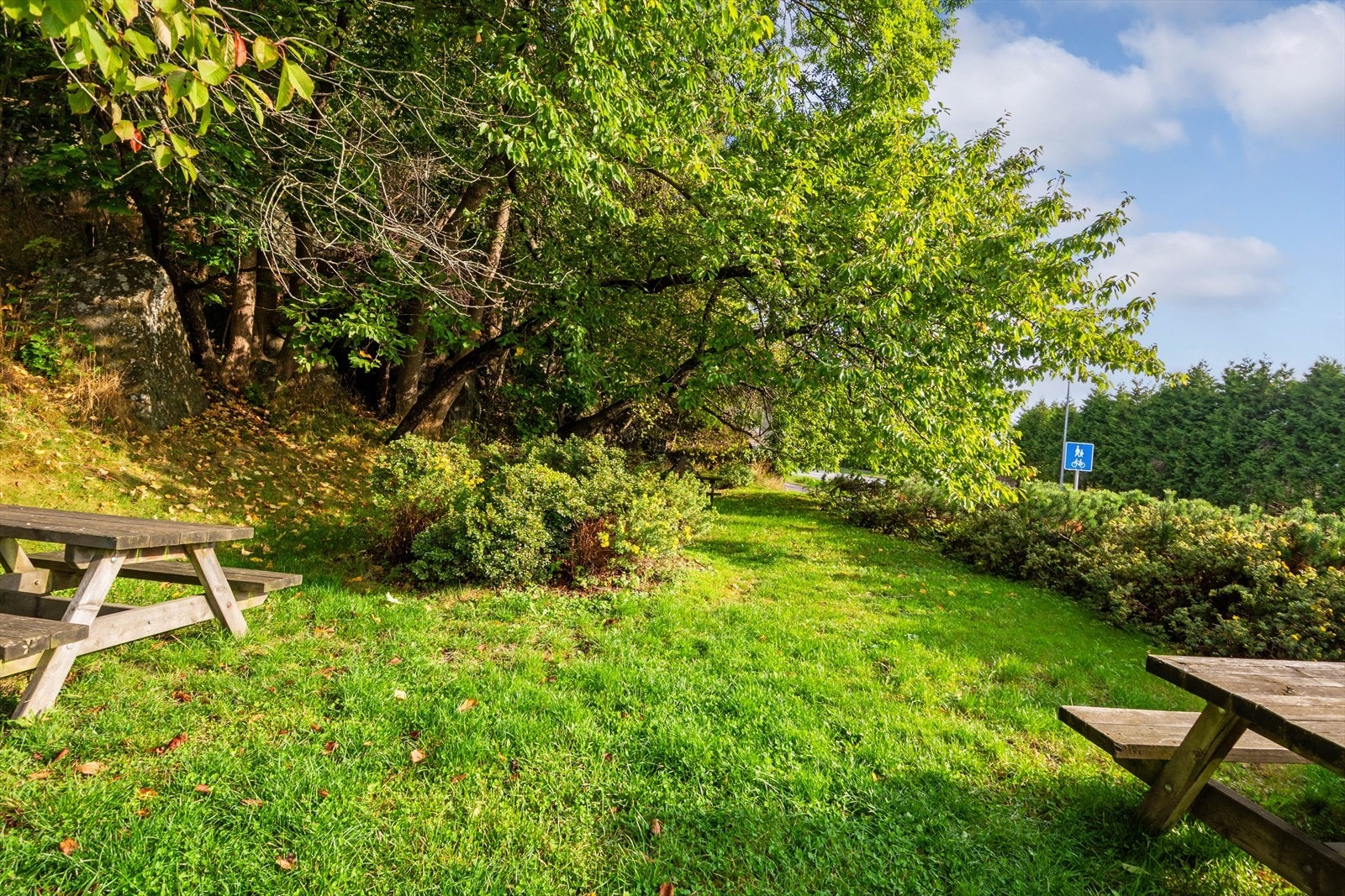 016.jpg Galleribilde