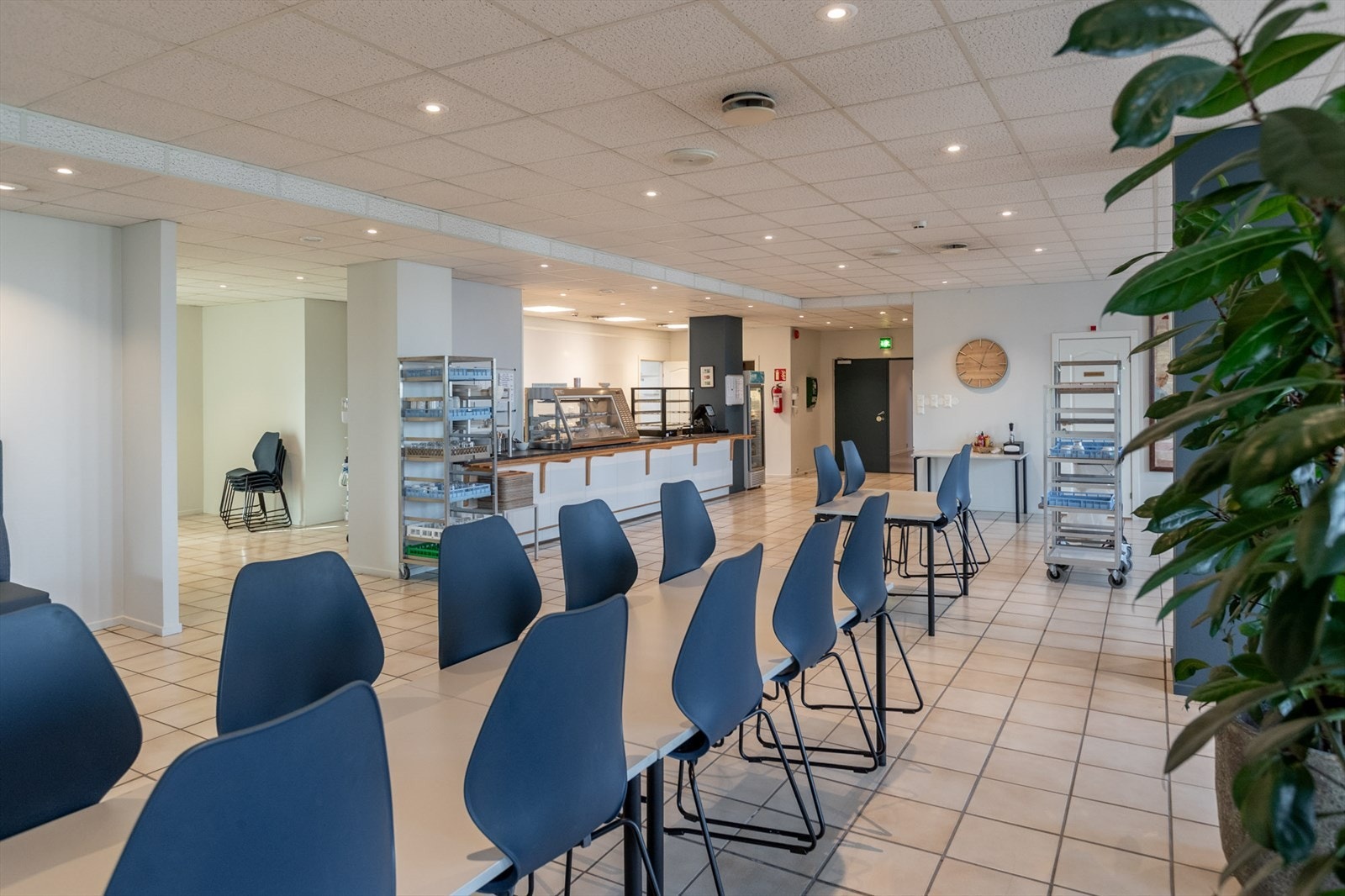 Trosvikstranda-46 Galleribilde