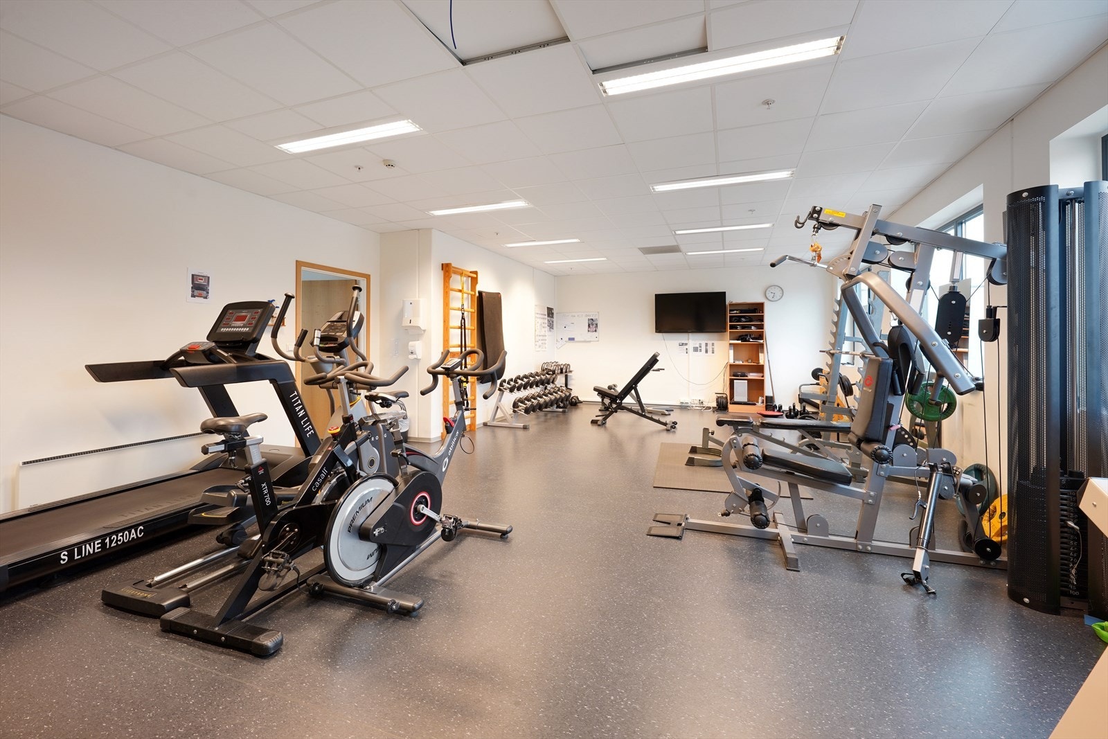 Moderne treningsrom med variert utstyr for en komplett treningsøkt. Perfekt for treningsentusiaster som ønsker fleksibilitet. Galleribilde
