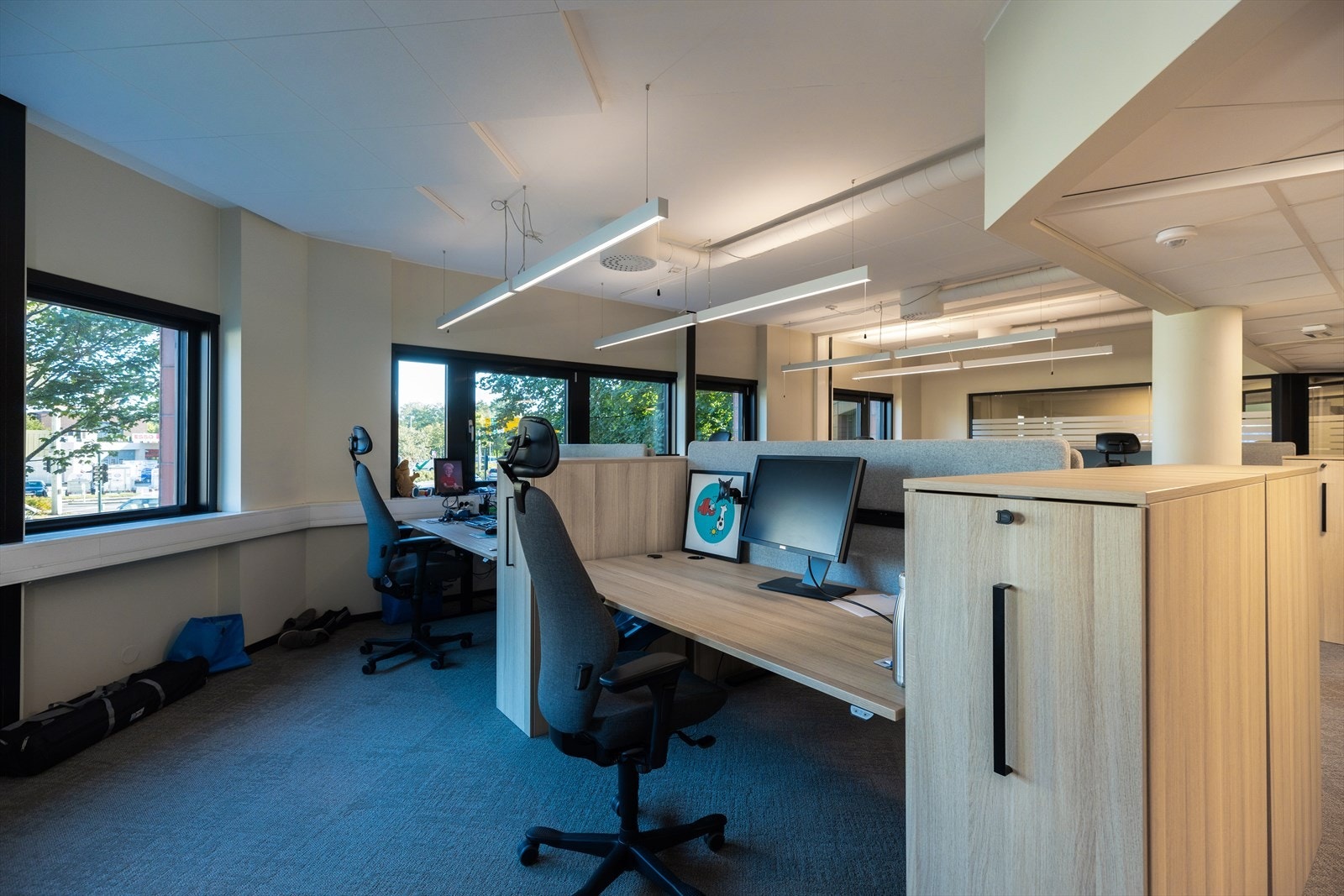 Åpent landskap hos annen leietaker Galleribilde