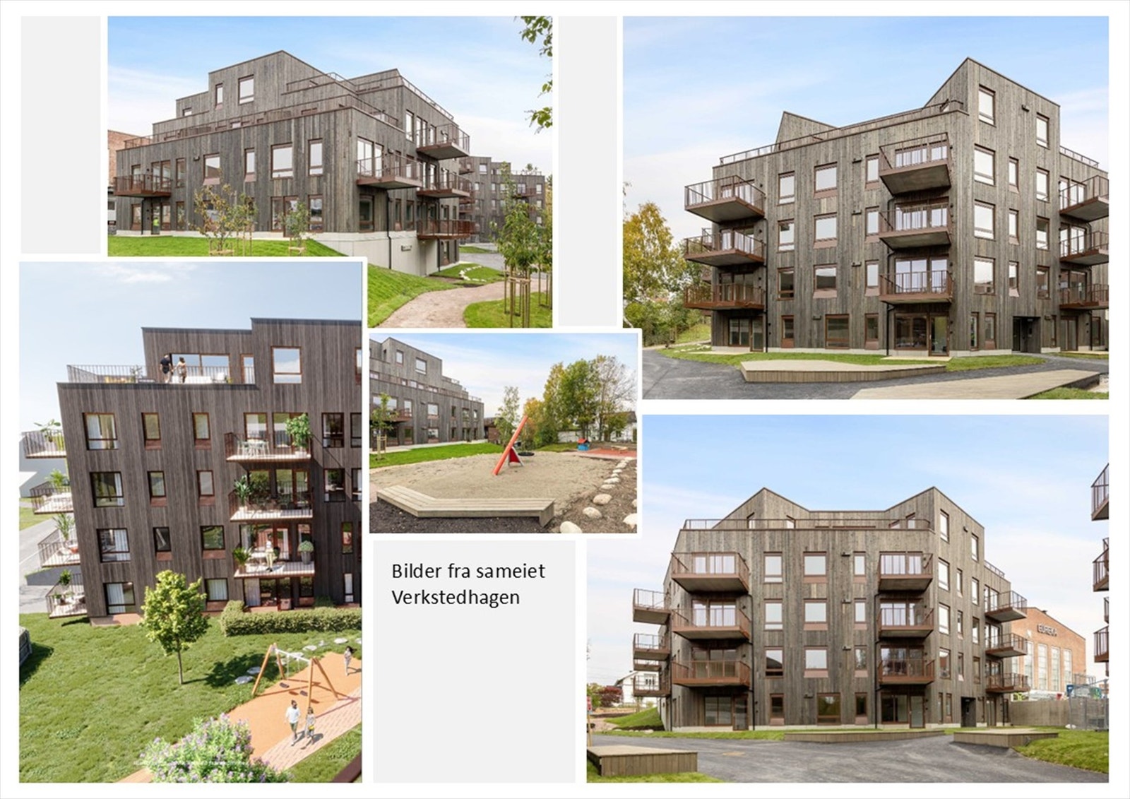 Sameiet Verkstedhagen. Galleribilde