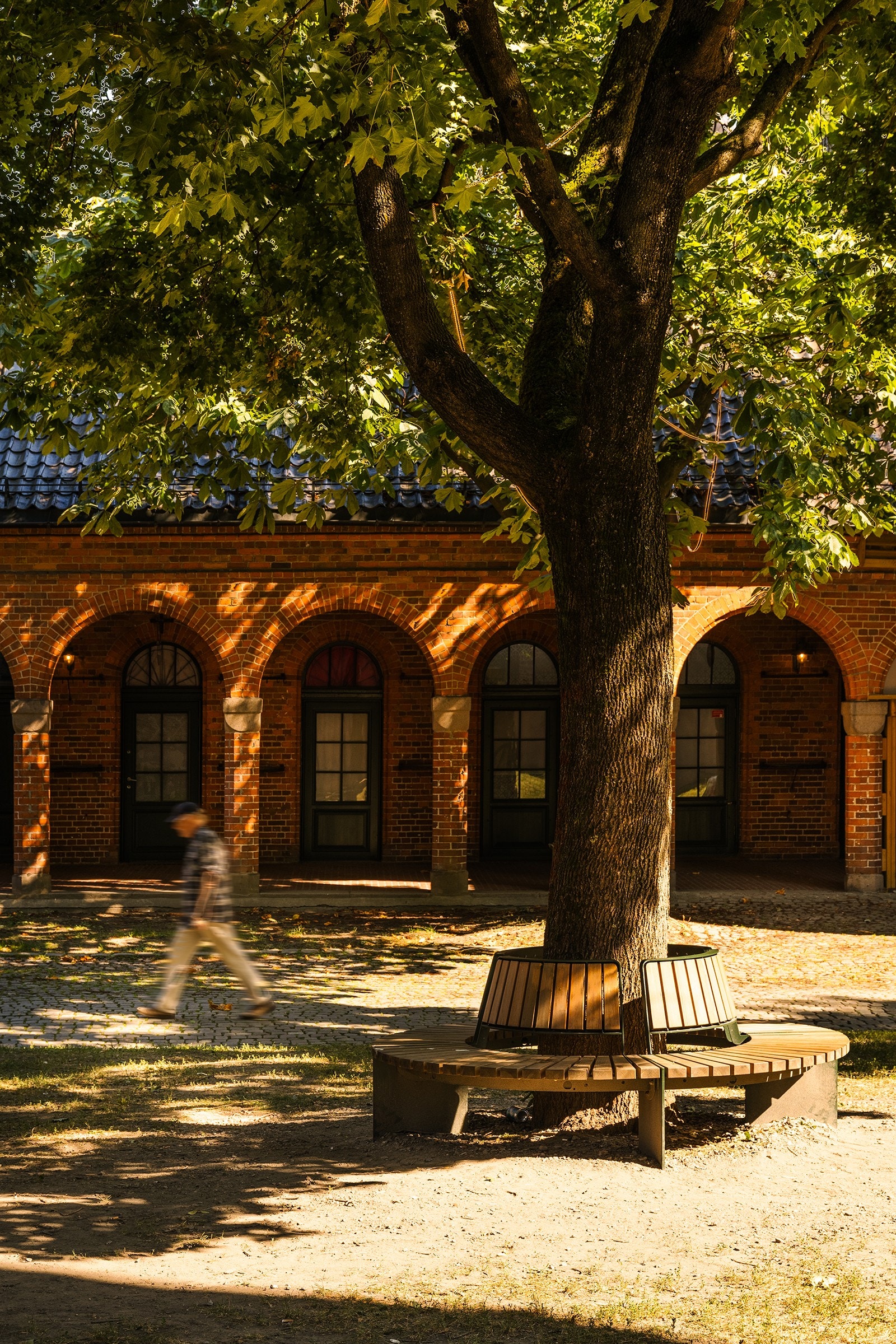 Eiendommen på rett under 3 000 m² ligger øst for Oslo domkirke og anlegget omkranser domkirkeparken. Foto: Fredrik Hansson. Galleribilde