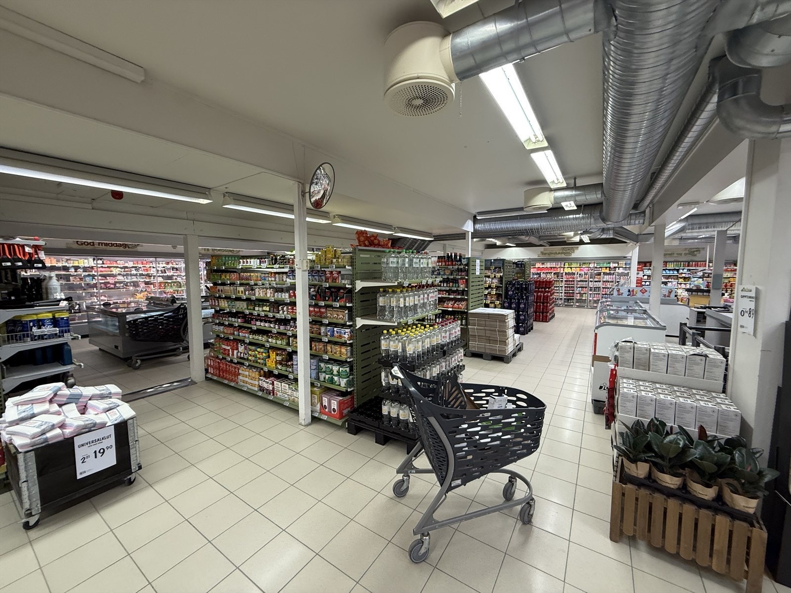 IMG_3422.jpeg Galleribilde