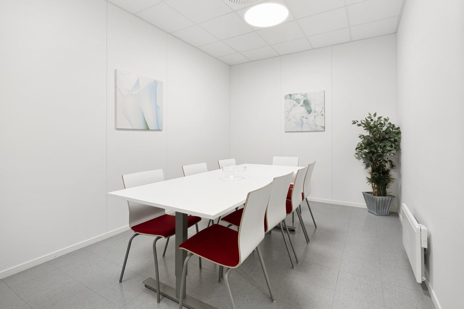 BS015.jpg Galleribilde