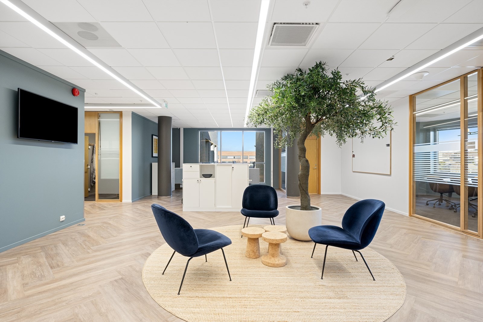 Sosialsone Galleribilde