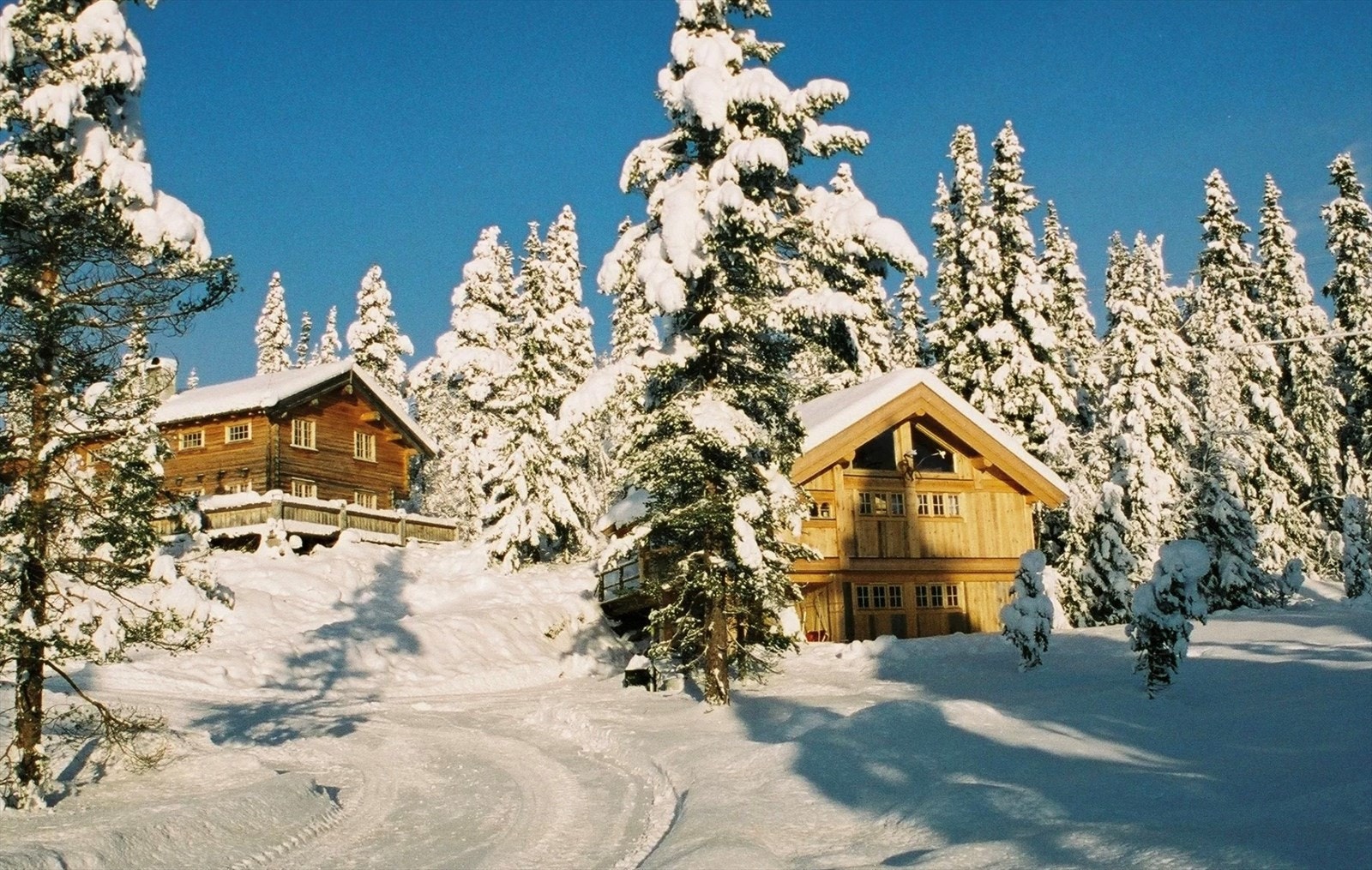 Selgers egne bilder Galleribilde