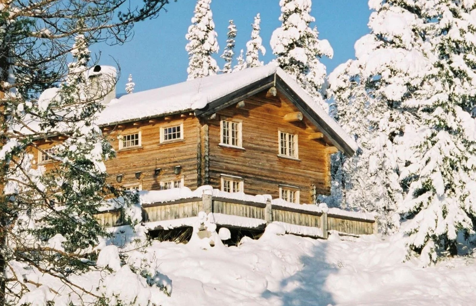 Selgers egne bilder Galleribilde