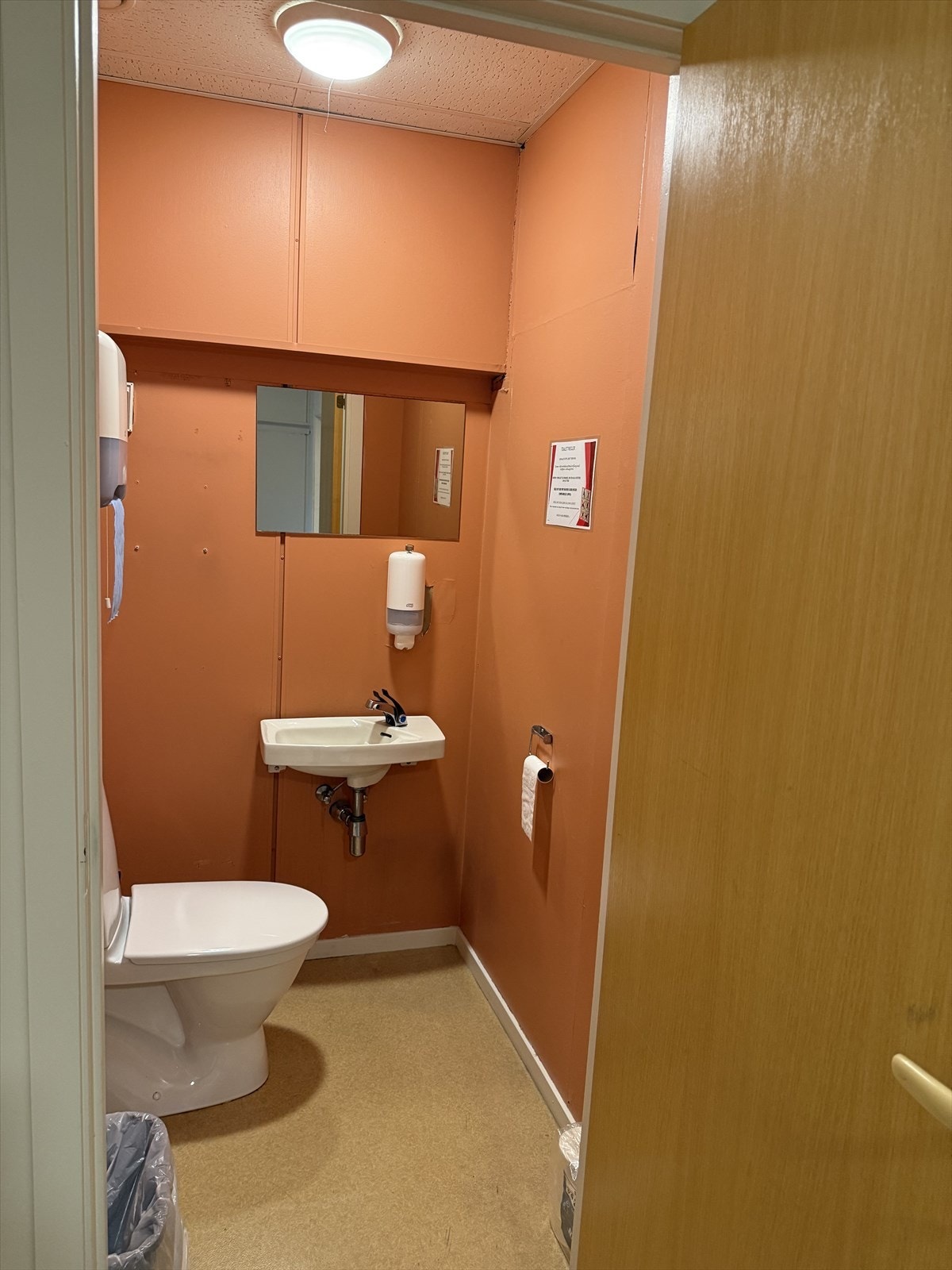 IMG_8817.jpg Galleribilde