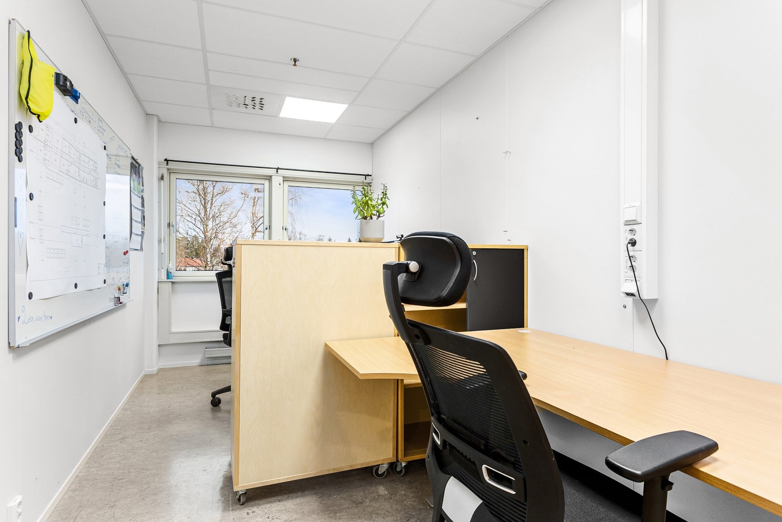 Cellekontor. Galleribilde