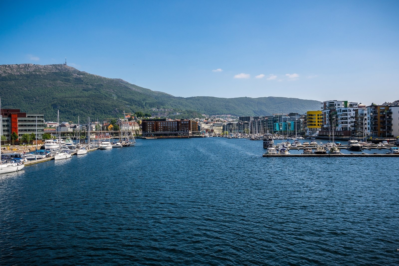 Nærområdet Galleribilde