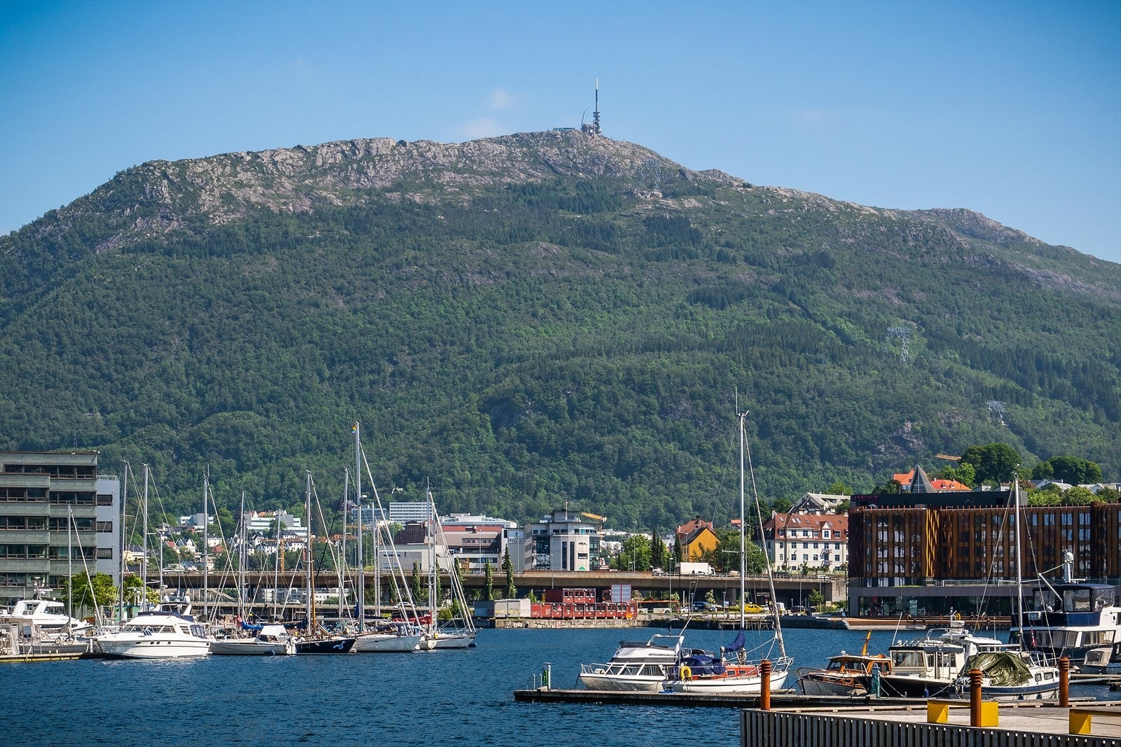 Nærområdet - mot Ulriken Galleribilde