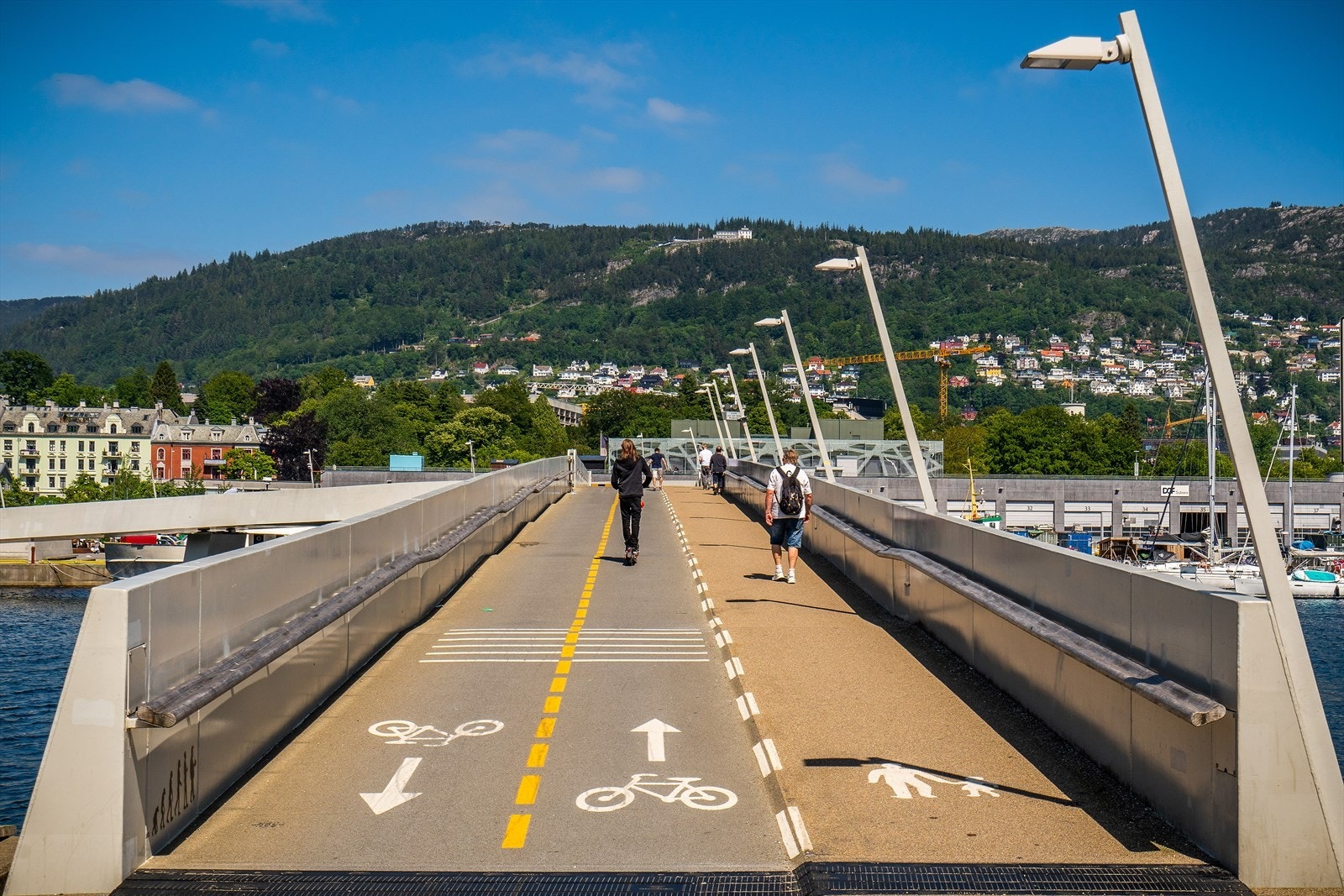 Nærområdet - Småpudden Galleribilde