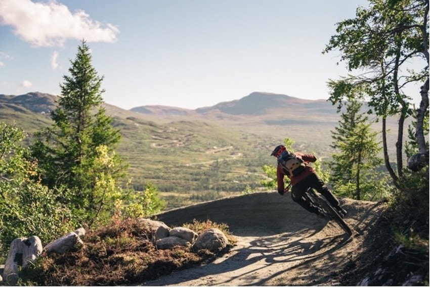 Områdebilde - Stort sykkelnettverk Galleribilde