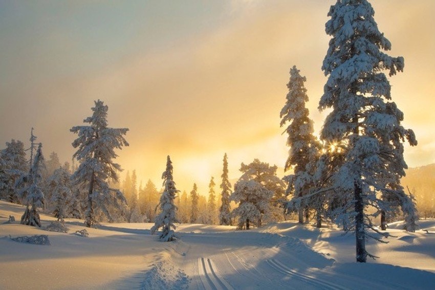 Områdebilde - Ferske langrennsspor Galleribilde