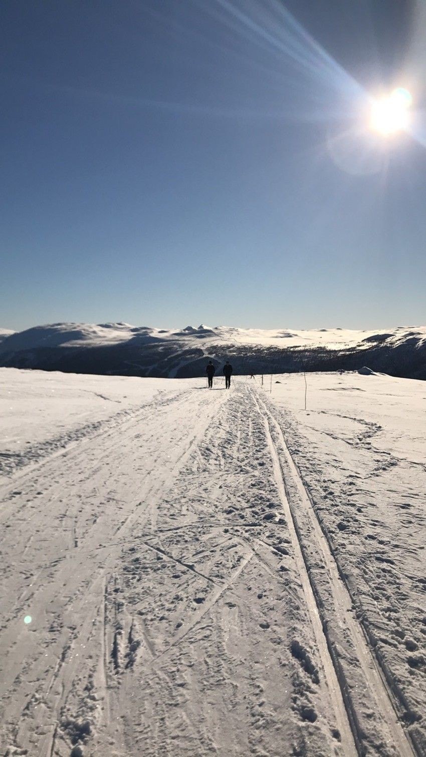 Nærområde Galleribilde