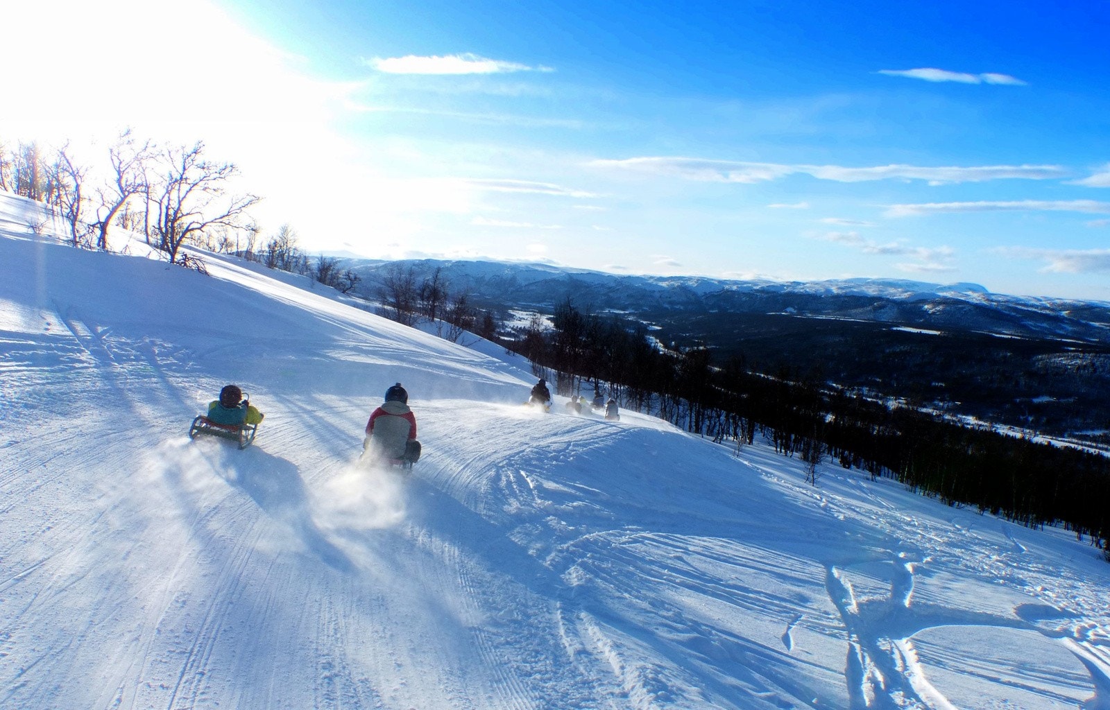 Nærområde Galleribilde