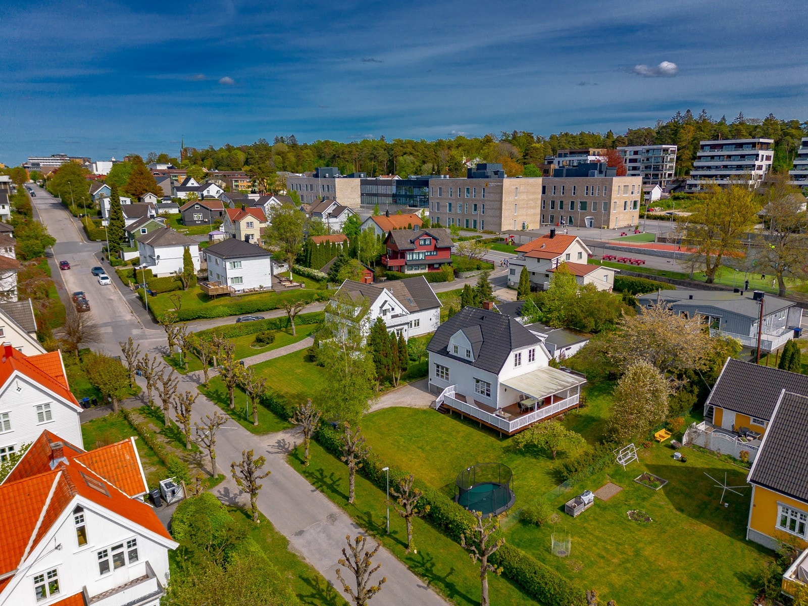 Sjekk den fine alléen Galleribilde