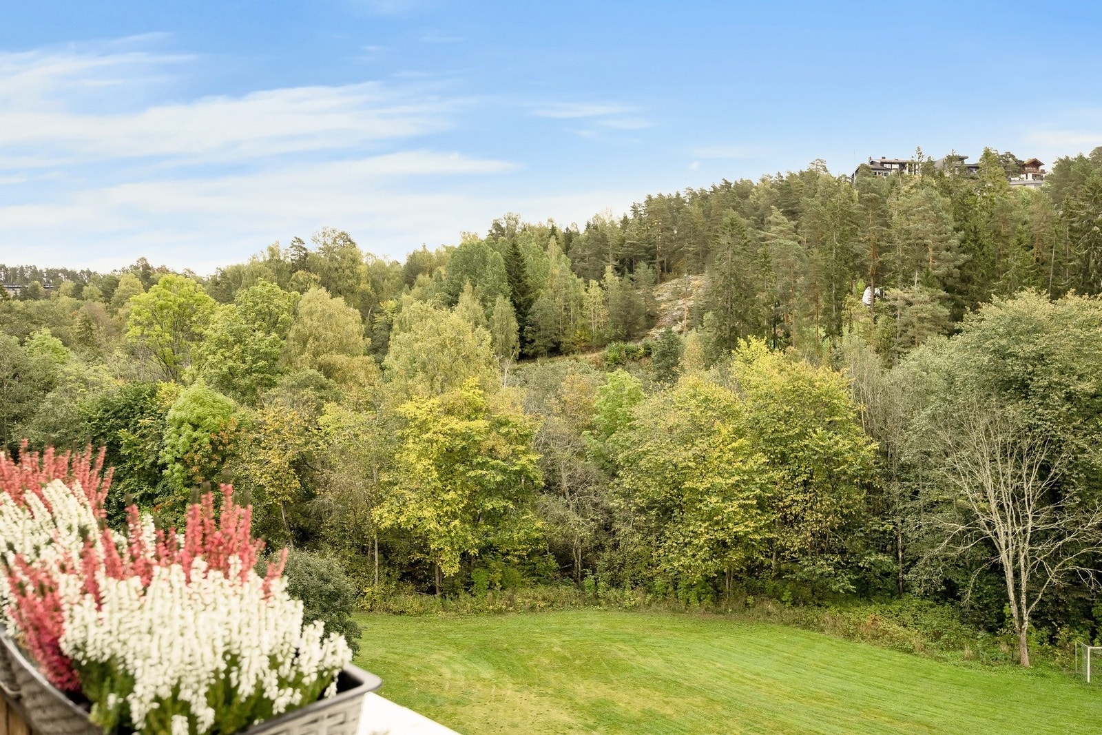 Her bor du høyt og fritt i 4. og 5. etasje uten sjenerende innsyn. Galleribilde