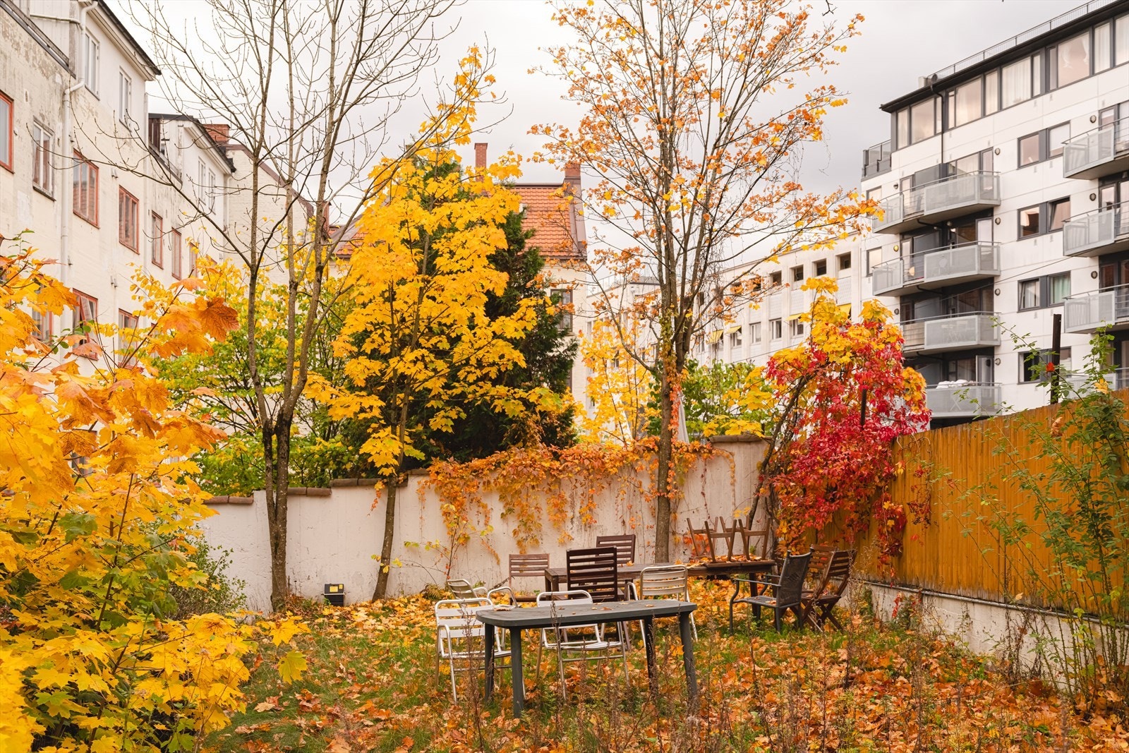 Beboerne kan også glede seg over en hyggelig og trivelig bakgård. Perfekt på varmere dager! Galleribilde