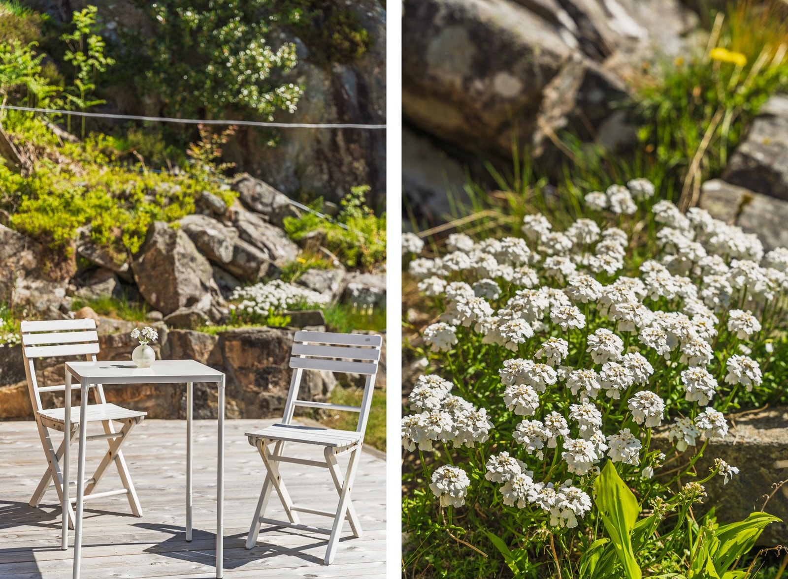 Her har man nok av idylliske solplasser Galleribilde