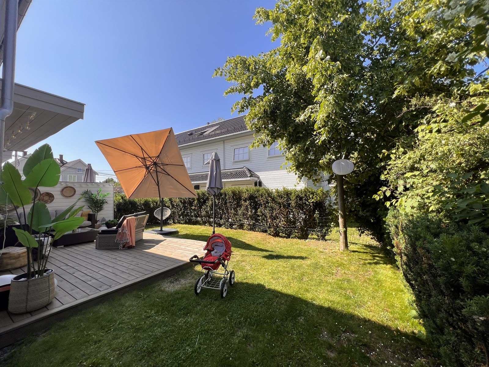 Selgers bilder fra sommer Galleribilde