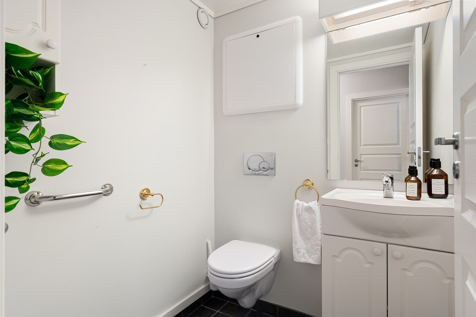 Separat wc-rom. Galleribilde