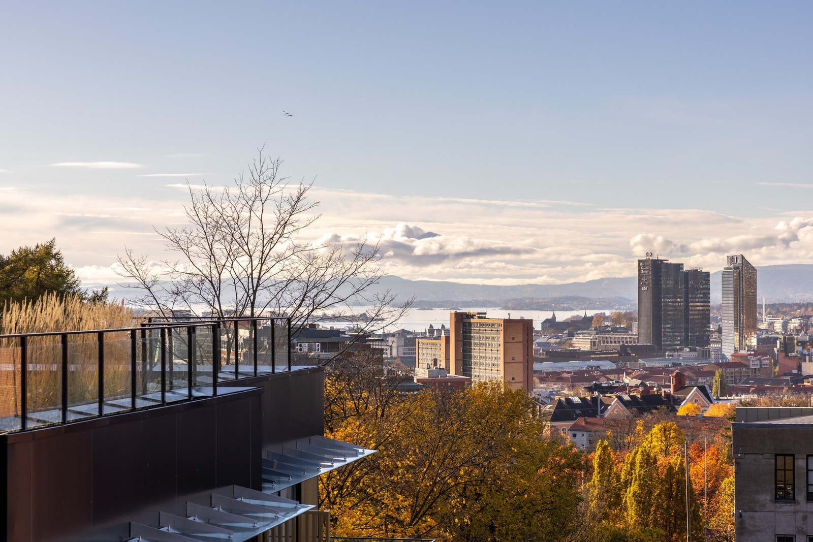 Perfekt beliggenhet på populære Tøyentaket, med nærhet til urbant byliv og flotte rekreasjonsområder. Galleribilde