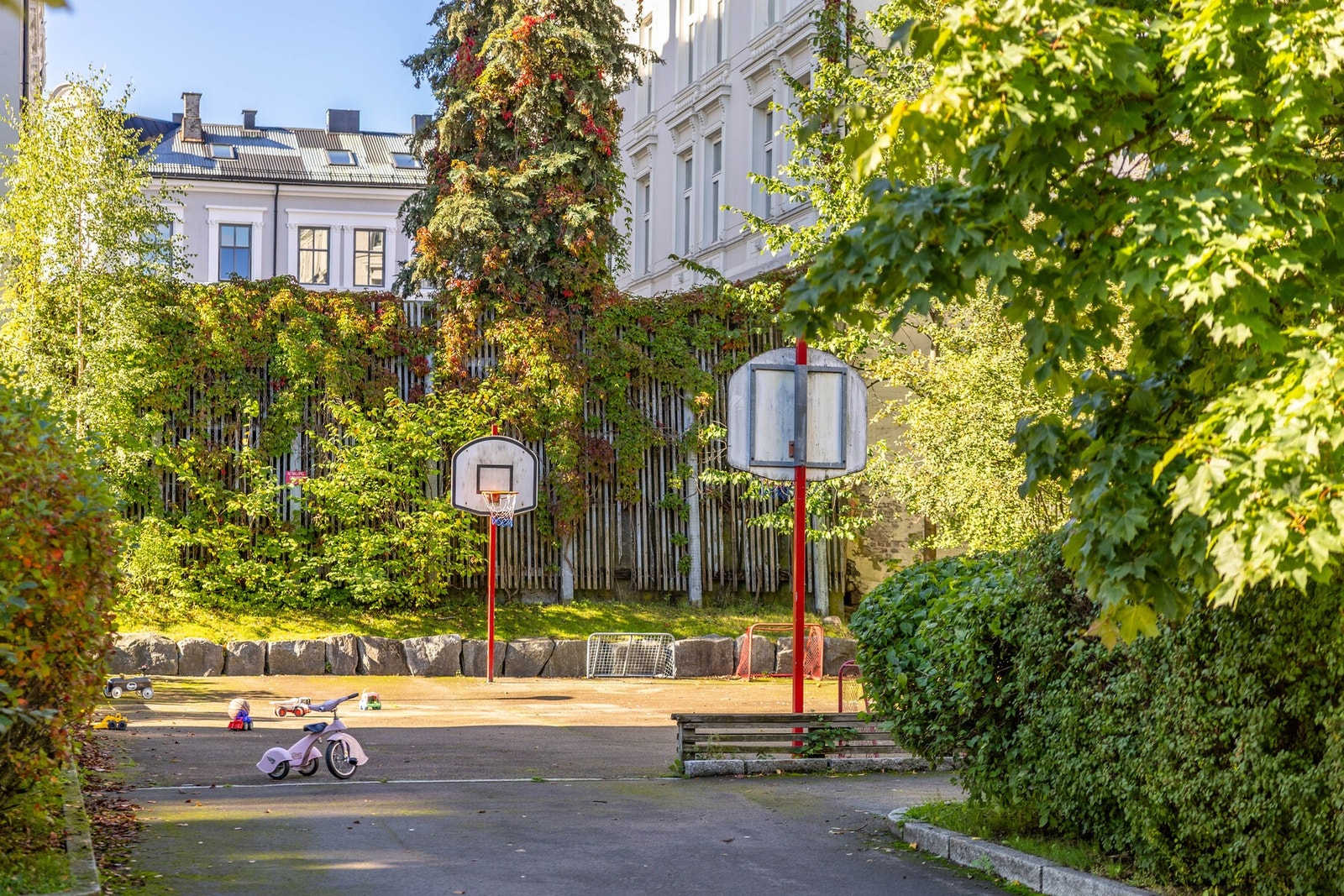 Tomten er stor og frodig. Galleribilde