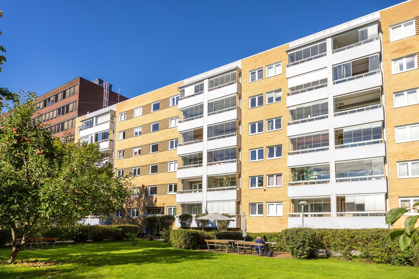 Husk visningspåmelding! Galleribilde