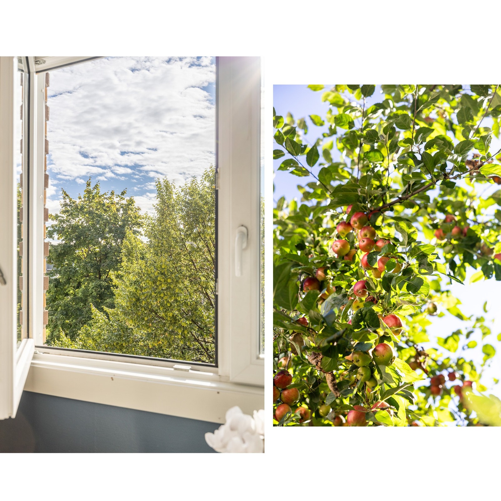 Flott utsikt. Galleribilde