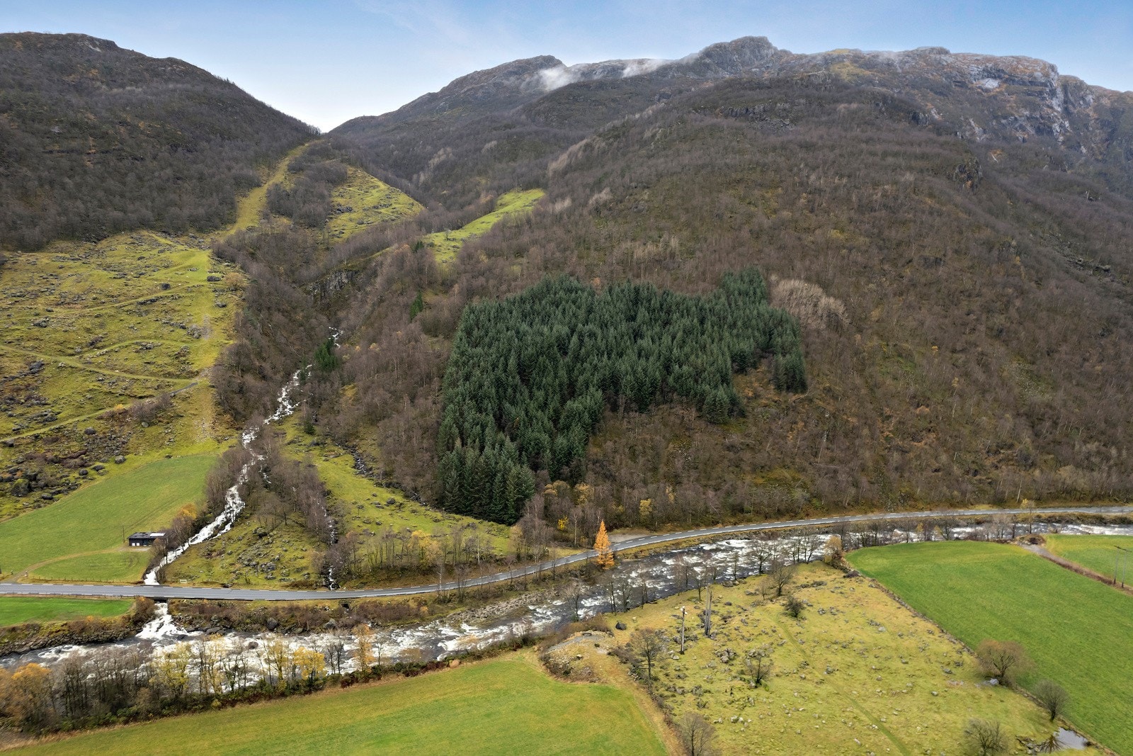 Omradebilde Galleribilde