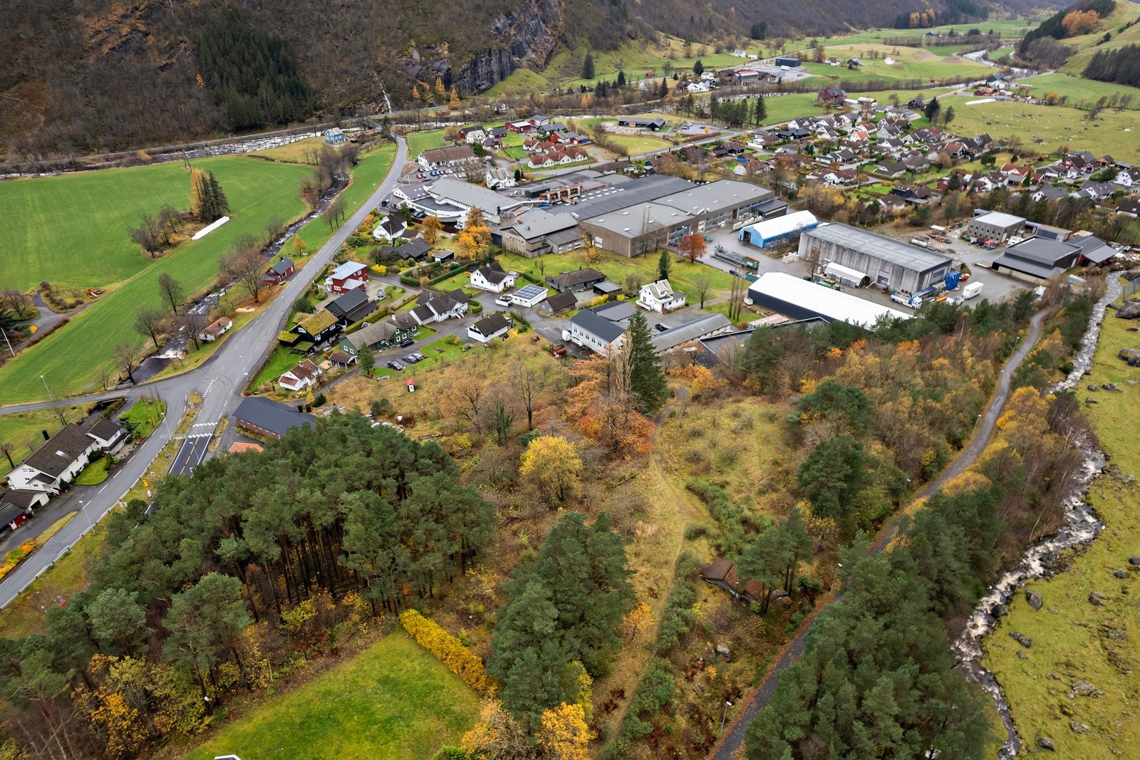 Omradebilde Galleribilde