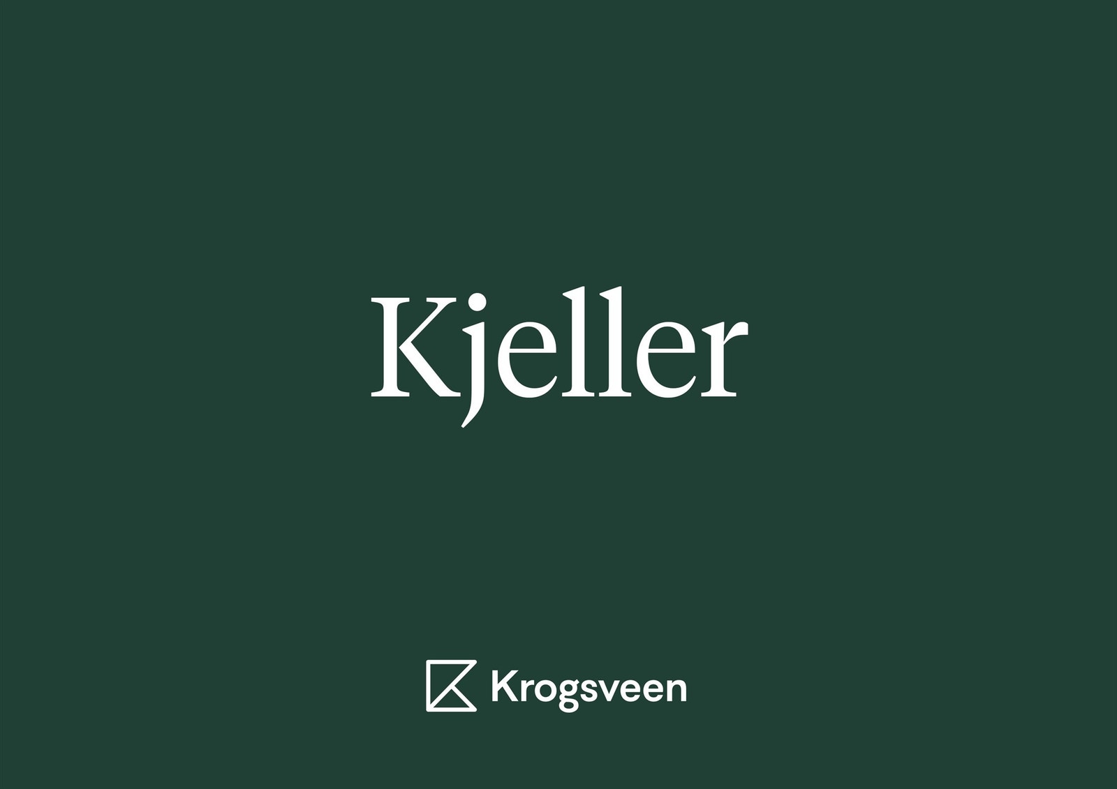 Velkommen til kjelleretasjen. Galleribilde