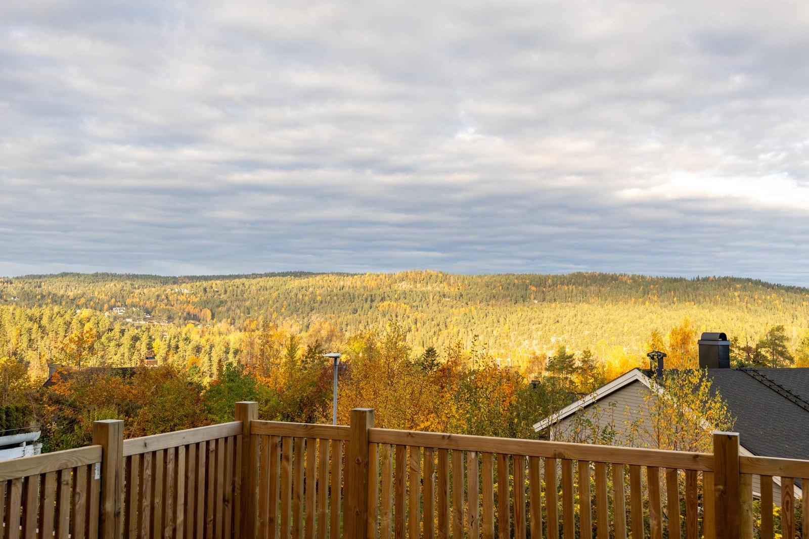 Flott utsikt over nærområdet. Galleribilde