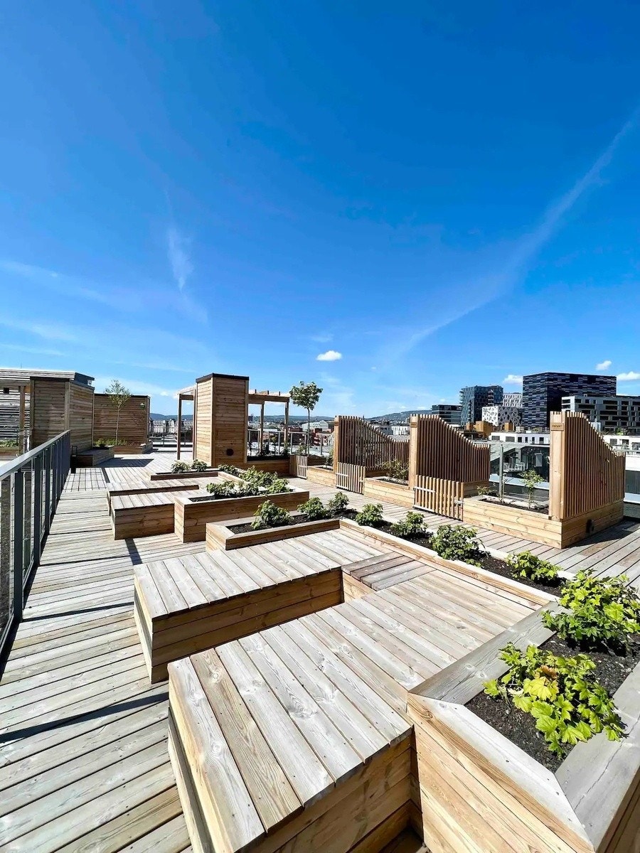 En av takterrassene (hele 7stk tilgjengelig) Galleribilde