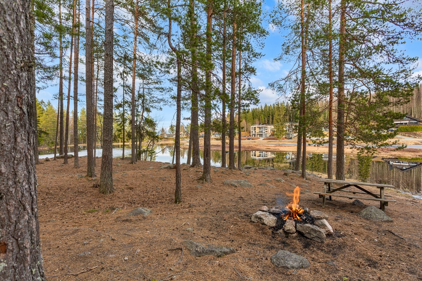 Området rundt Bjønnmyra er et fantastisk friluftsområde og er godt tilrettelagt for koselige opplevelser for liten og stor! Galleribilde