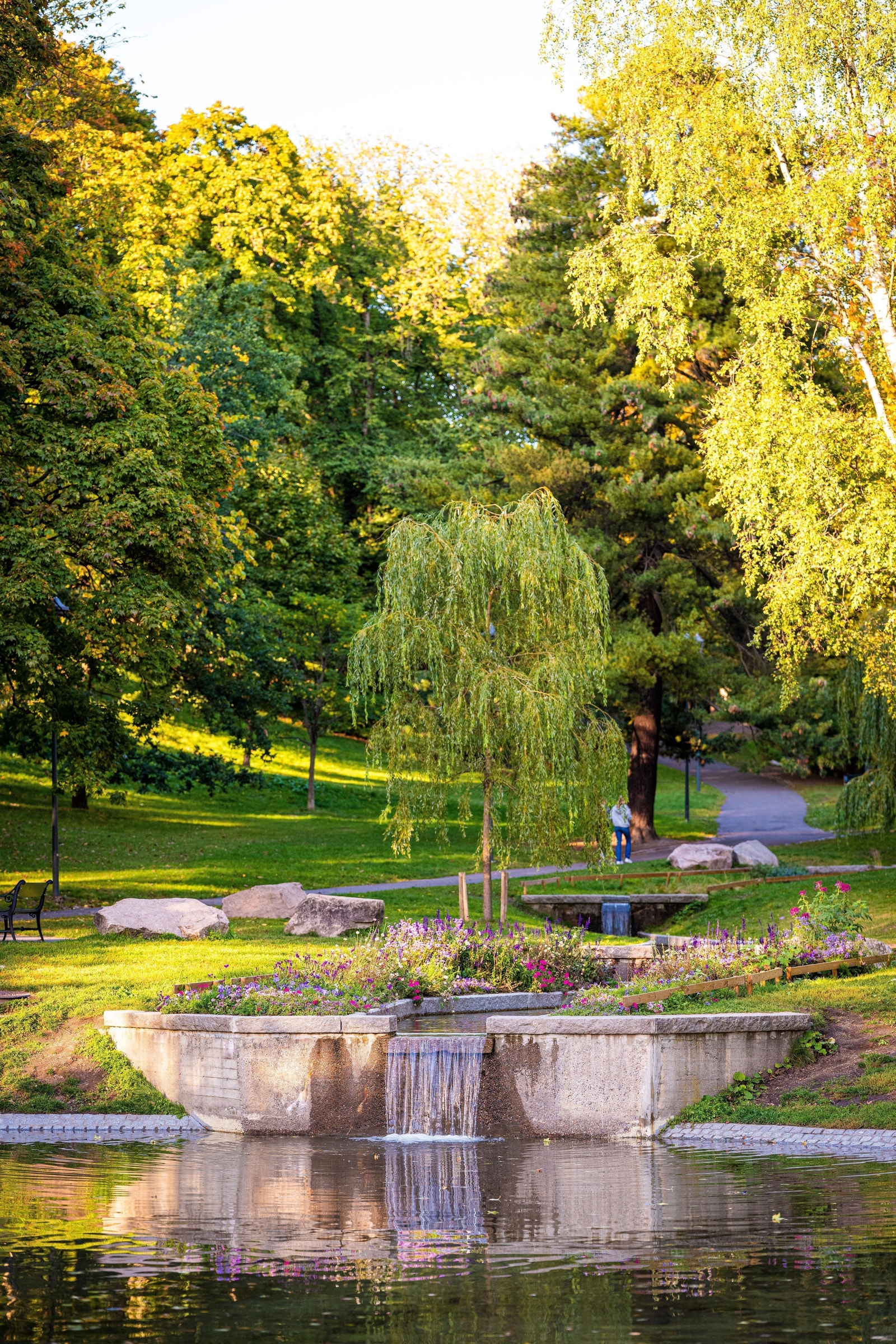 Kort vei til parken på St.Hanshaugen Galleribilde