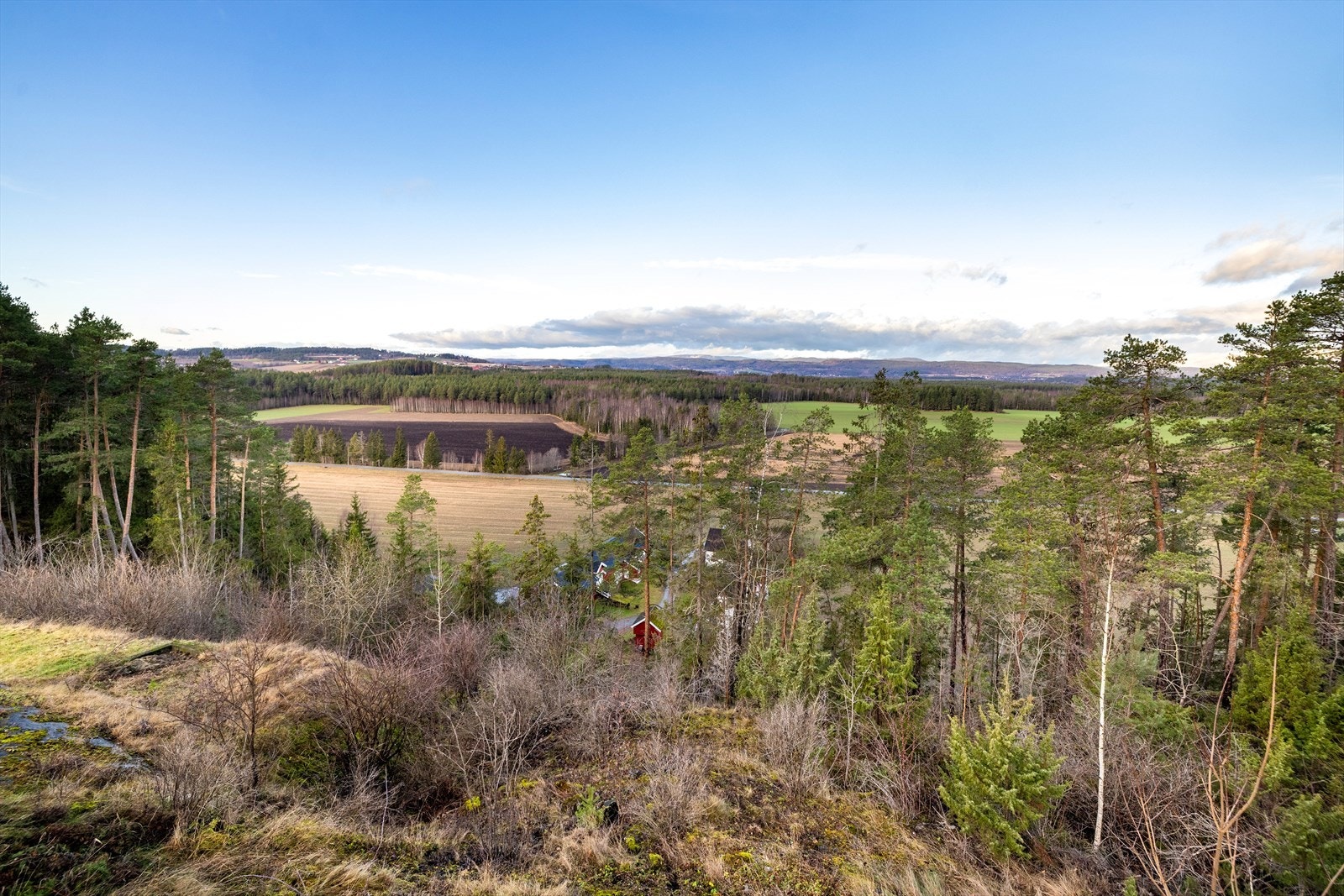 Flott utsikt over kulturlandskapet på Steinssletta Galleribilde