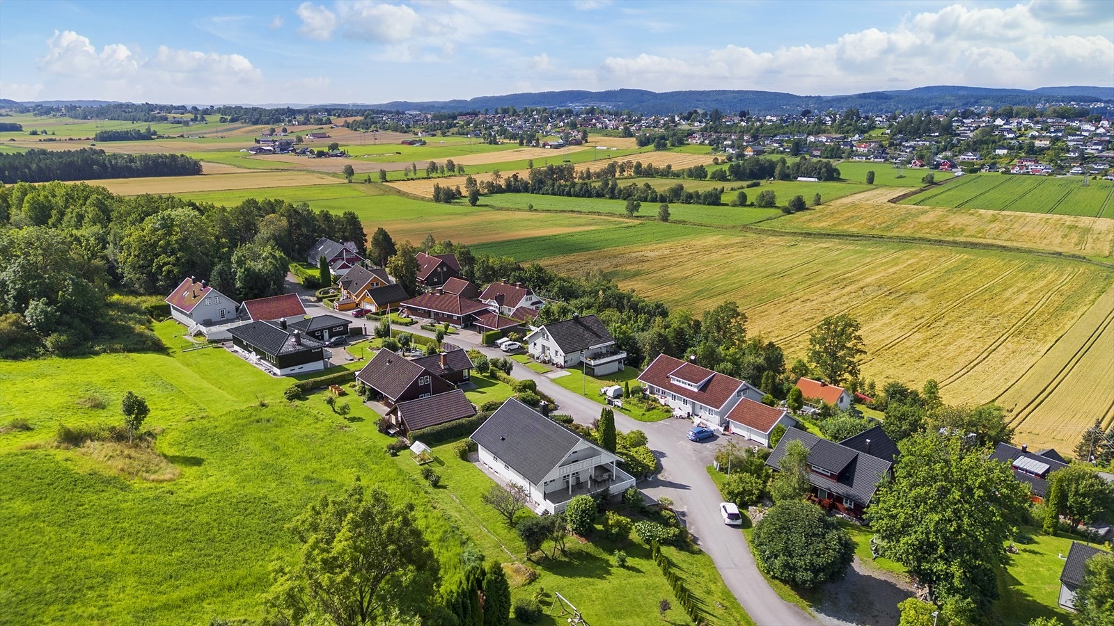 Velkommen til visning! Galleribilde