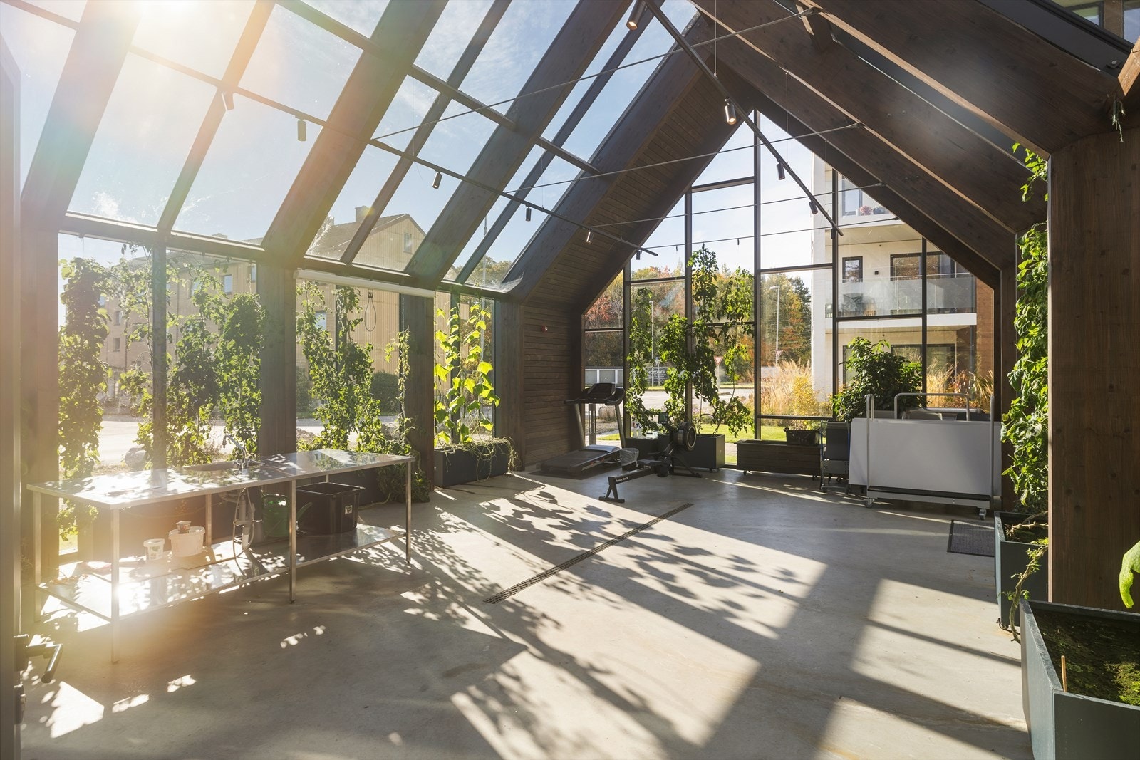 Orangeriet består av beplantning som dyrkes av en gruppe beboerne. Styret har nylig kjøpt inn tredemølle og romaskin til felles bruk. Galleribilde