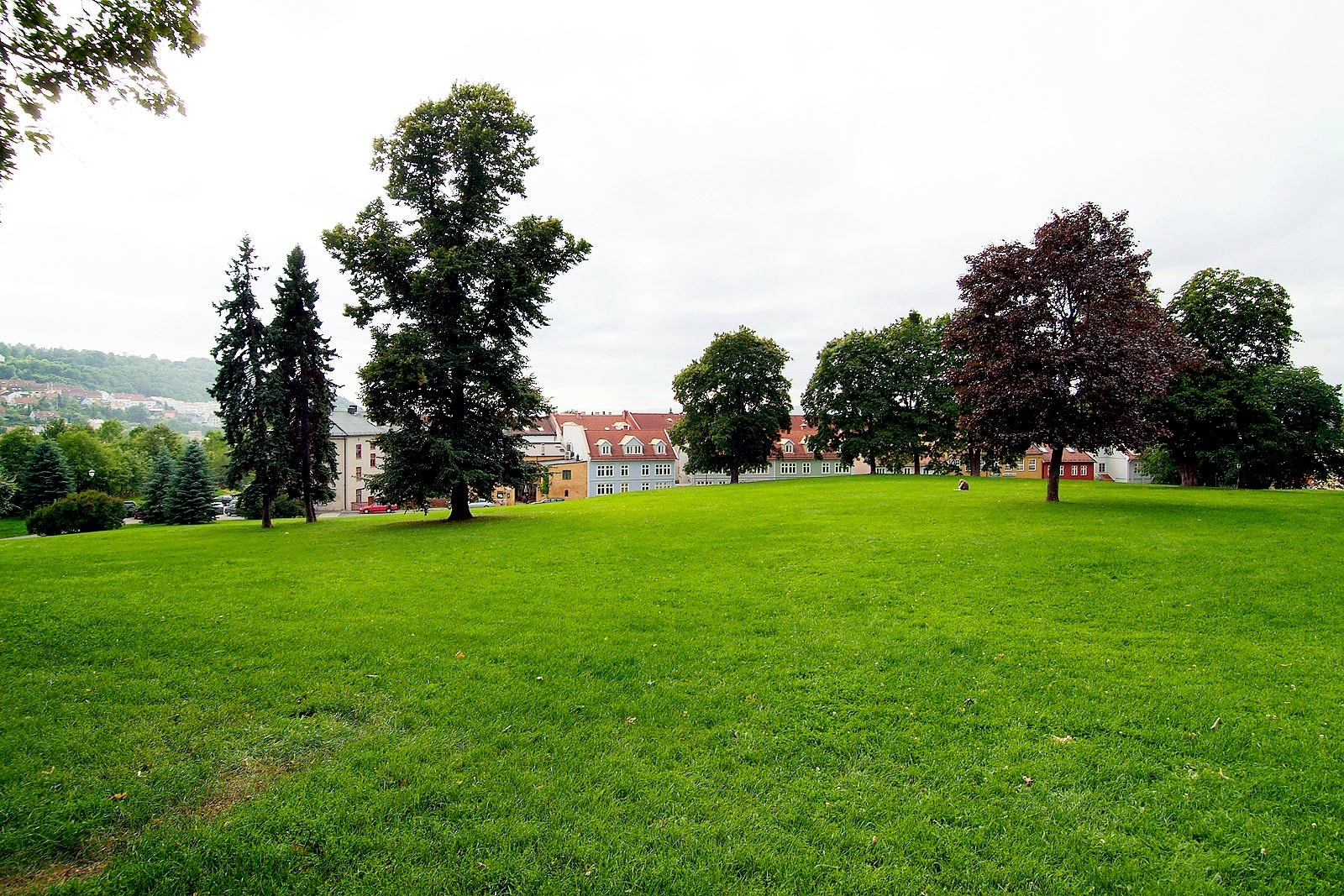 Store parker rett utenfor døren. Her kan varme dager nytes med gode venner! Galleribilde