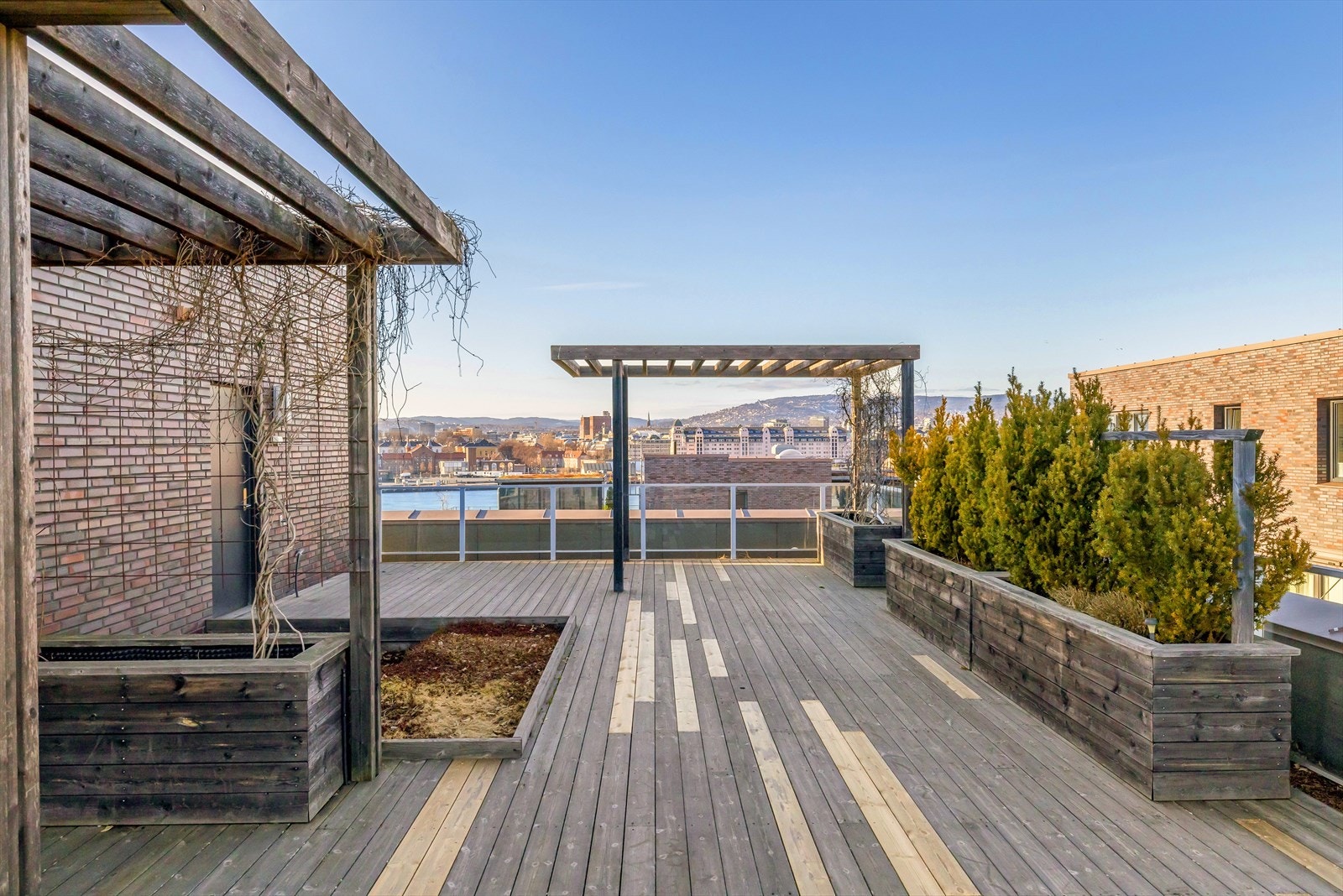 Felles takterrasse i samme bygg. Galleribilde