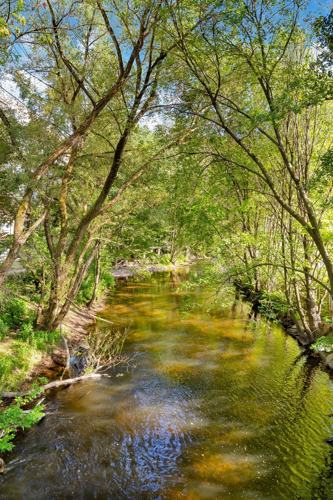 Fra Torshov er det fine stier langs Akerselva, helt opp til Maridalen med fine badeplasser i Nydalen og ved Frysja eller ned til sentrum Galleribilde