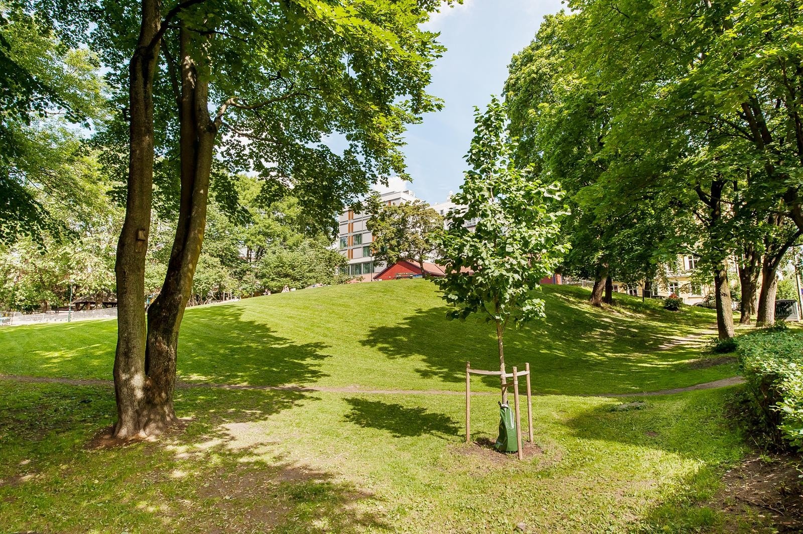 Gård 8 Galleribilde