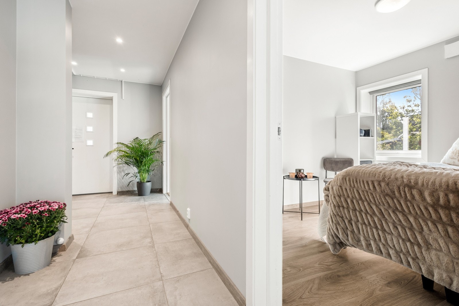 IMG_7521 Galleribilde