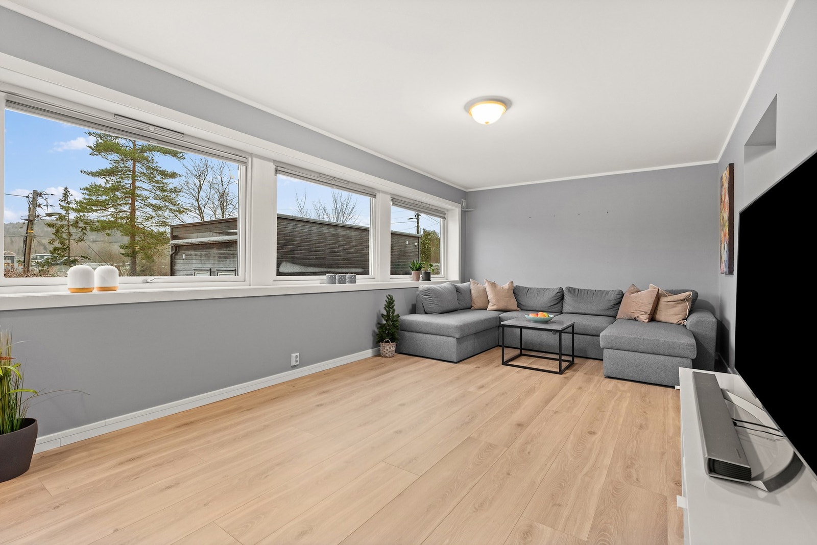 Hybel | Stue Galleribilde