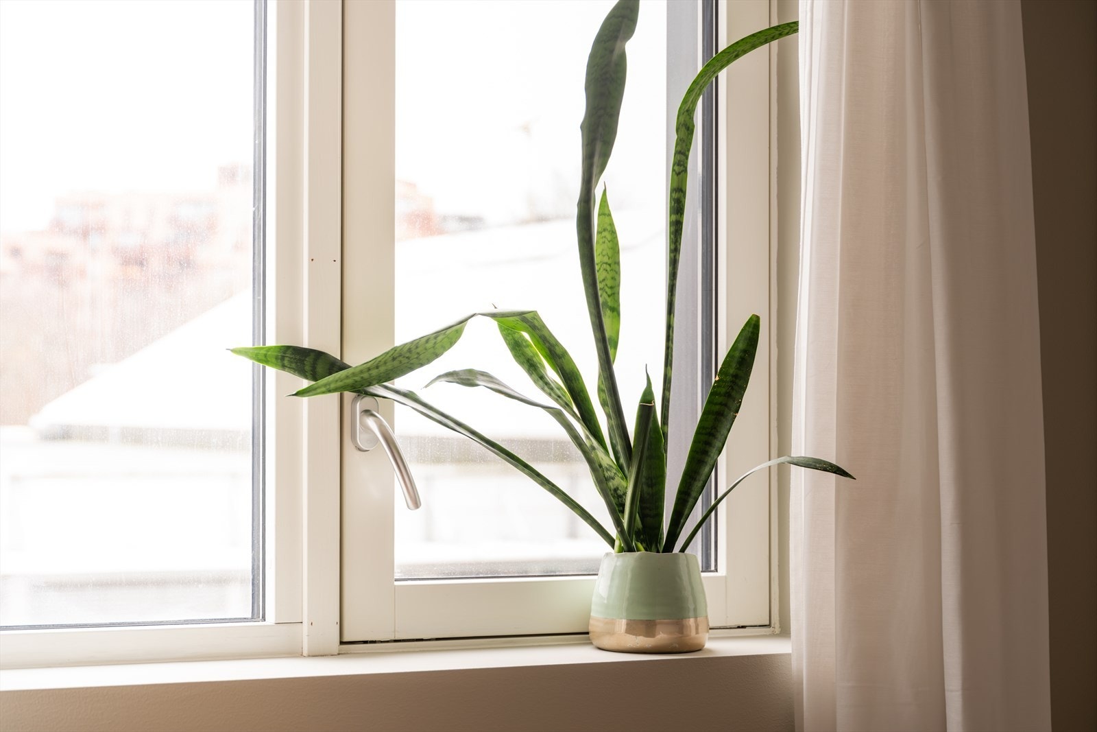 Her får dere et luftig hjem med moderne farger, luftige rom og mye boltreplass. Galleribilde