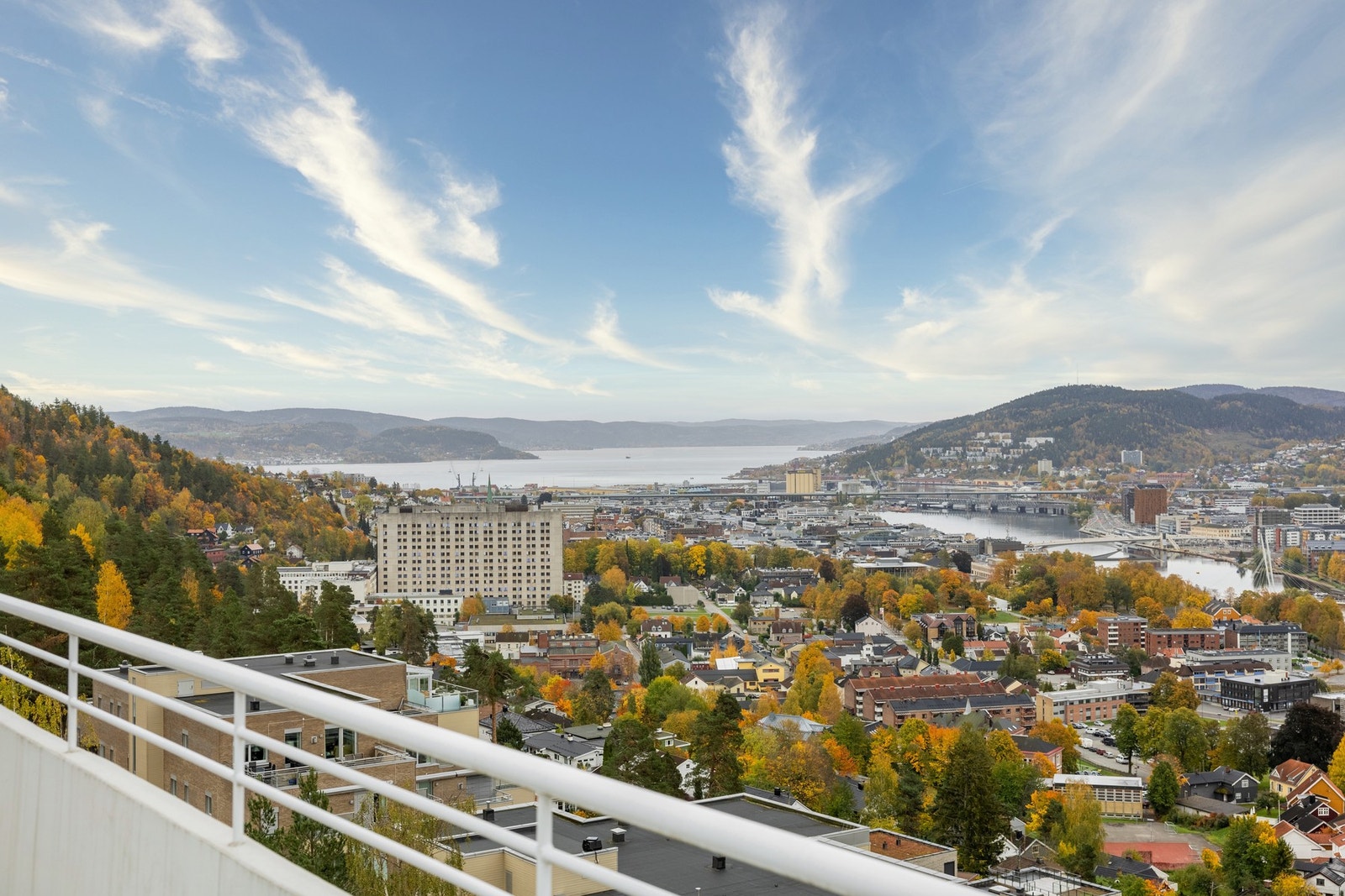 Husk visningspåmelding! Galleribilde